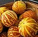 photo 20 Rare Tigger Melon Seeds | Exotic Garden Fruit Seeds to Plant | Sweet Exotic Melons, Grow and Eat