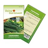 Lauchzwiebeln Tonda musona Samen - Allium cepa - Lauchzwiebelnsamen - Gemüsesamen - Saatgut für 100 Pflanzen foto / 1,99 € (0,02 € / stück)