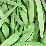 Roma II Bush Beans, 50 Count Seed, Planting, Non-GMO Bush Bean, Country Creek Acres Brand photo / $3.99 ($0.08 / Count)