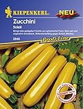 Kiepenkerl Zucchini Soleil goldgelb foto / 2,62 €