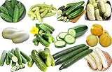 100+ Cucumber Mix Seeds 12 Varieties Non-GMO Delicious and Crispy, Grown in USA. Rare and Super Prolific photo / $6.25 ($35.43 / Ounce)