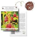 Erdbeeren Samen (Fragaria) - Nährstoffreiche Erdbeer Samen ideal für die Anzucht im Garten, Balkon oder Terrasse foto / 4,90 €