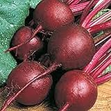 Beets,Ruby Queen, Heirloom, Non GMO, 100 Seeds, Tender and Sweet, DEEP RED photo / $2.99