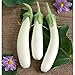 photo White Princess (F1) Eggplant Seeds (30+ Seed Package)