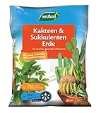 Westland Kakteen & Sukkulenten Erde, 4 l – Kakteenerde für gesunde Pflanzen, Erde mit Tongranulat zur optimalen Wasser- und Nährstoffverteilung foto / 5,49 € (1,37 € / l)