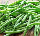 Blue Lake Bush Green Bean Seeds, 50+ Heirloom Seeds Per Packet, Non GMO Seeds, (Isla's Garden Seeds), Botanical Name: Phaseolus vulgaris photo / $6.25 ($0.12 / Count)