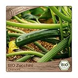 Samenliebe BIO Zucchini Samen Diamant grün 10 Samen samenfestes Gemüse Saatgut für Gewächshaus Freiland und Balkon BIO Gemüsesamen foto / 3,49 €