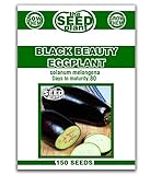 Black Beauty Eggplant Seeds - 150 Seeds Non-GMO photo / $1.59 ($0.01 / Count)