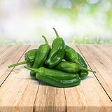 Pimento Padron 25 x Samen aus Portugal 100% Natürlich ohne Chemische Anzuchthilfe oder Gentechnik foto / 2,49 € (2,49 € / stück)