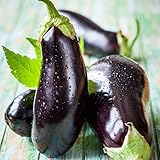 David's Garden Seeds Eggplant Black Beauty 2477 (Black) 50 Non-GMO, Heirloom Seeds photo / $4.95