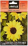 Girasol enano amarillo foto / 1,88 €