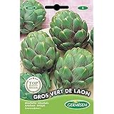 Germisem Vert de Laon Semillas de Alcachofa 1 g foto / 2,21 €