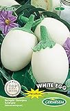 Aubergine WHITE EGG foto / 5,15 €