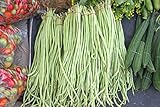 Yard Long Bean Seeds 85+ Seeds, Asian Heirloom Yard Long Beans Seeds, Asparagus Beans Seeds, Phaseolus Vulgaris, Non GMO photo / $7.45 ($0.09 / Count)