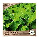 Samenliebe BIO Asia Salat Samen Green in Snow senfartiger Blattsenf Wintersalat grün 1g samenfestes Gemüse Saatgut für Gewächshaus Freiland und Balkon BIO Gemüsesamen winterhart foto / 3,69 €