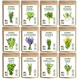 Seedra 12 Herb Seeds Variety Pack - 3800+ Non-GMO Heirloom Seeds for Planting Hydroponic Indoor or Outdoor Home Garden - Rosemary, Tarragon, Lavender, Oregano, Basil, Thyme, Parsley, Chives & More photo / $15.89 ($1.32 / Count)