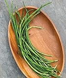 Burpee Yardlong Asparagus Pole Bean Seeds 1 ounces of seed photo / $8.07