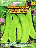 Zuckererbsen, Graue buntblühende - (Portion) foto / 3,19 €