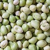 David's Garden Seeds Southern Pea (Cowpea) Zipper Cream 4112 (Cream) 100 Non-GMO, Open Pollinated Seeds photo / $4.45