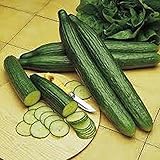 Cucumber, Long Green Improved, Heirloom,99+ Seeds, Great for Any Veggie Platter photo / $2.99