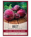 Beet Seeds for Planting Detroit Dark Red 100 Heirloom Non-GMO Beets Plant Seeds for Home Garden Vegetables Makes a Great Gift for Gardeners by Gardeners Basics photo / $5.95