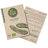 BIO Zucchini Samen, 10 Zucchinisamen, hohe Keimrate, 100% Natürlich von Little Plants, BIO Samen Zucchini Courgette für deinen Gemüsegarten, Gemüsebeet, Hochbeet - BIO Saatgut Nachhaltig Verpackt foto / 3,95 €