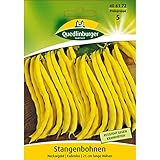 Stangenbohne, Neckargold foto / 3,82 €