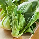 Semillas de col china Pak Choi - Brassica chinensis foto / 9,99 €