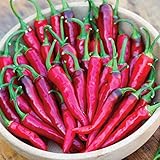 Burpee Dragon Cayenne Hot Pepper Seeds 25 seeds photo / $9.23 ($0.37 / Count)