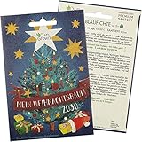 Blaufichte Weihnachtsbaum Samen: Mein Weihnachtsbaum 2030 – Premium Saatgut zum Tannenbaum Pflanzen für 5x Blaufichte – Tannenbaum für Garten – Blautanne zum Pflanzen – Tannenbaum Samen von OwnGrown foto / 3,95 € (3,95 € / stück)