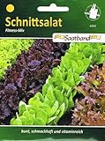 Schnittsalat Fitness Mix Salat vitaminreich foto / 2,50 €