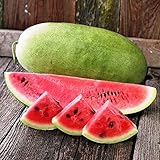 NIKA SEEDS - Fruit Watermelon Charleston Grey Green - 20 Seeds photo / $8.95 ($0.45 / Count)