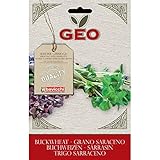 Geo Trigo Sarraceno Semillas para germinar, Marrón, 12.7x0.7x20 cm foto / 5,78 €