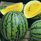 David's Garden Seeds Fruit Watermelon Yellow Petite 9832 (Yellow) 25 Non-GMO, Heirloom Seeds photo / $4.45