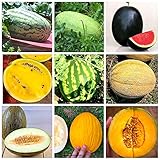 83 Semillas en 9 Variedades de SANDÍA y MELÓN: Sandía Gigante Carolina Cross, Charleston Grey, Sugar Baby, Amarilla, Crimson, Melón Cantaloupe du Maroc, Piel de Sapo, Canario, Suave Italiano + Guía foto / 26,90 €