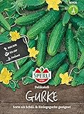 80926 Sperli Premium Gurken Samen Landgurke Delikateß | Freilandgurke | Gewächshausgurke | Gurken Samen Freiland | Gurken Saatgut foto / 3,13 €