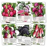 Seed Needs, Multicolor Radish Seed Packet Collection (6 Individual Packets) Non-GMO Seeds photo / $11.85