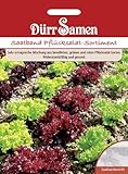 Dürr Samen 1214 Pflücksalat Sortiment Saatband (Pflücksalatsamen) foto / 4,17 €