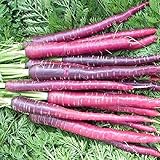 David's Garden Seeds Carrot Cosmic Purple 1199 (Purple) 200 Non-GMO, Heirloom Seeds photo / $3.45