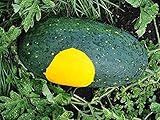 David's Garden Seeds Fruit Watermelon Moon & Stars 3147 (Yellow) 25 Non-GMO, Open Pollinated Seeds photo / $3.95