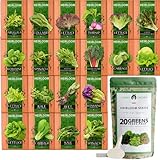 Bulk Lettuce & Leafy Greens Seed Vault - 3000+ Non-GMO Vegetable Seeds for Planting Indoor or Outdoor - Kale, Spinach, Butter, Oak, Romaine Bibb & More - Hydroponic Home Garden Seeds (20 Variety) photo / $21.95 ($1.10 / Count)