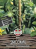 Zucchini, Quine, Cucurbita pepo foto / 4,56 €