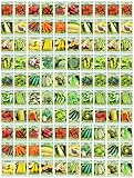 100 Assorted Heirloom Vegetable Seeds 100% Non-GMO (100, Deluxe Assorted Vegetable Seeds) photo / $47.99 ($0.48 / Count)