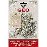 Geo Guisante Semillas para germinar, Marrón, 12.7x0.7x20 cm foto / 2,24 €