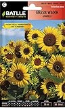 Girasol Wahoo Amarillo foto / 1,88 €