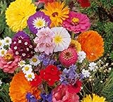 Lot de 50 Graines fleurs en malange a couper jardin colorés fleurs + ou - cornues 40-60 cm semence photo / 4,39 € (0,09 € / unité)