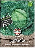 81251 Sperli Premium Wirsing Kohl Samen | Mild und Fein im Geschmack | Lagerfähig | Wirsing Saatgut | Wirsingkohl Samen | Wirsing Samen foto / 3,77 €