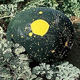 Burpee Moon & Stars Heirloom Watermelon Seeds 30 seeds photo / $7.87 ($0.26 / Count)