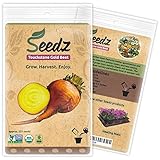 Organic Beet Seeds, APPR. 225, Touchstone Gold Beet, Heirloom Vegetable Seeds, Certified Organic, Non GMO, Non Hybrid, USA photo / $7.88