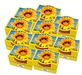 10er Set Minipflanzset Zwergsonnenblume foto / 19,95 € (2,00 € / stück)